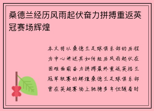桑德兰经历风雨起伏奋力拼搏重返英冠赛场辉煌